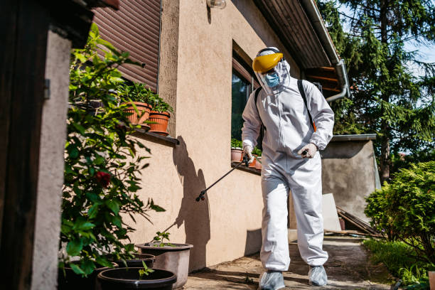 Best Best Pest Control Companies  in Shenandoah, VA