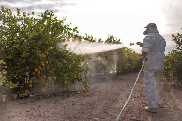 Best Best Pest Control Companies  in Shenandoah, VA