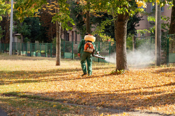 Best Pest Control Near Me  in Shenandoah, VA